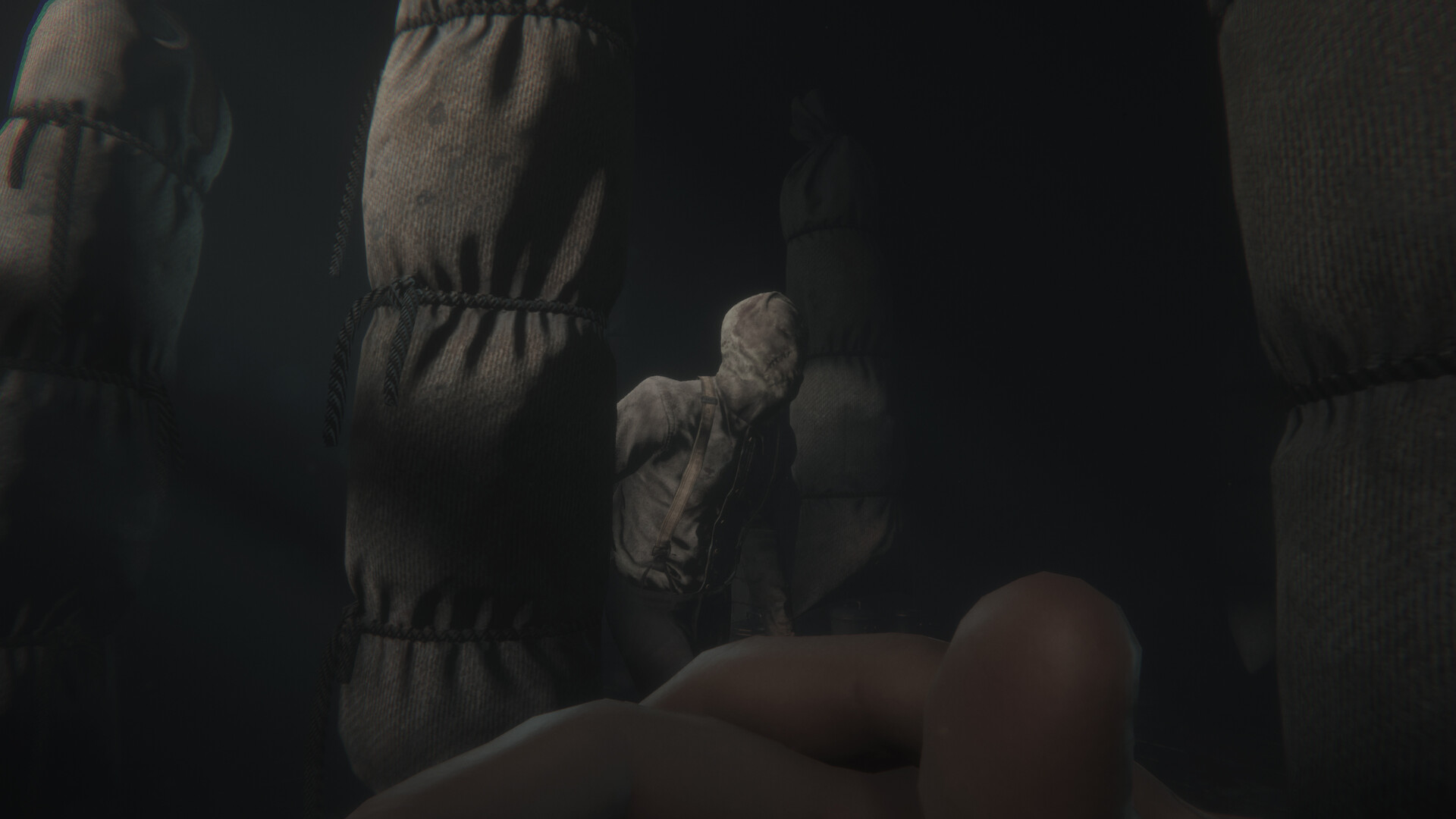 《斯盖尔之女》VR中文版